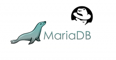 Best MariaDB Development Company in Delhi